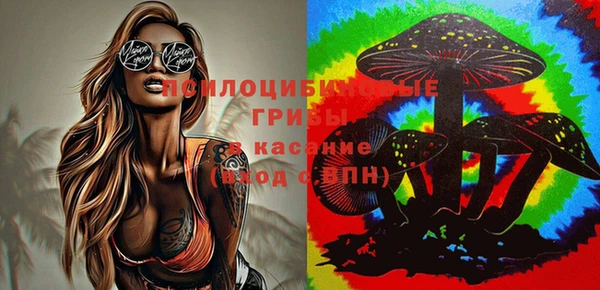 Альфа ПВП Аркадак