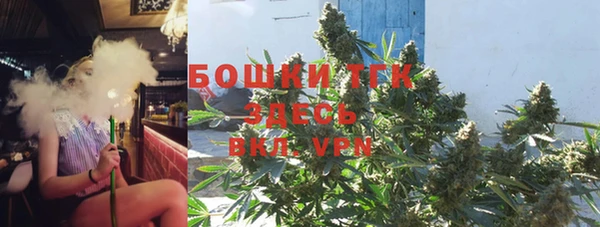стаф Балахна