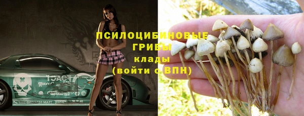 стаф Балахна