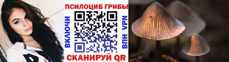 darknet Telegram  купить наркотики цена  МЕГА ССЫЛКА  Шуя  Галлюциногенные грибы GOLDEN TEACHER 