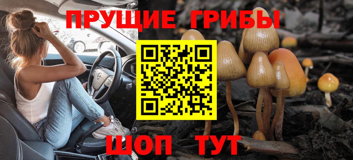 Псилоцибиновые грибы GOLDEN TEACHER  Вход с VPN  Псилоцибиновые грибы мицелий  Шуя 
