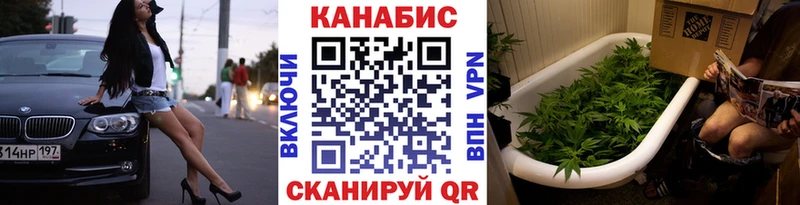 Бошки Шишки план  Шуя 